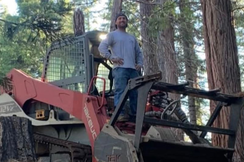 Tree and Vegetation Removal