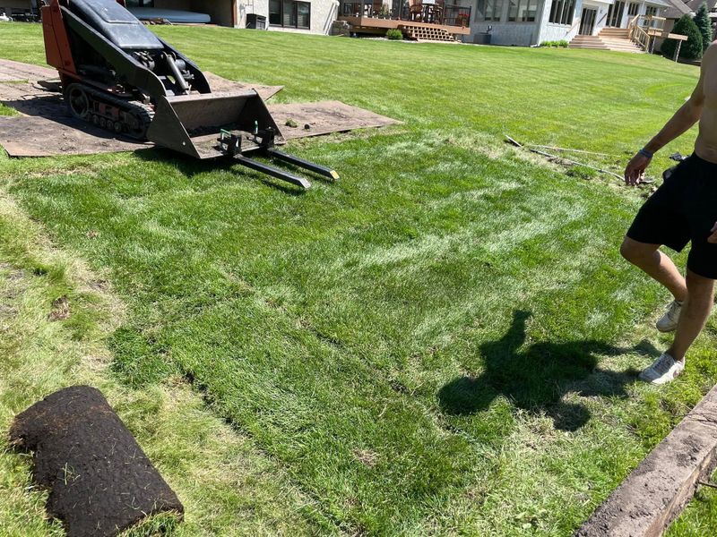 Landscape Design & Installation