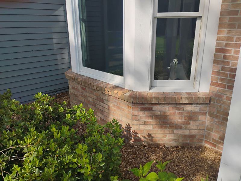 Brick Restoration