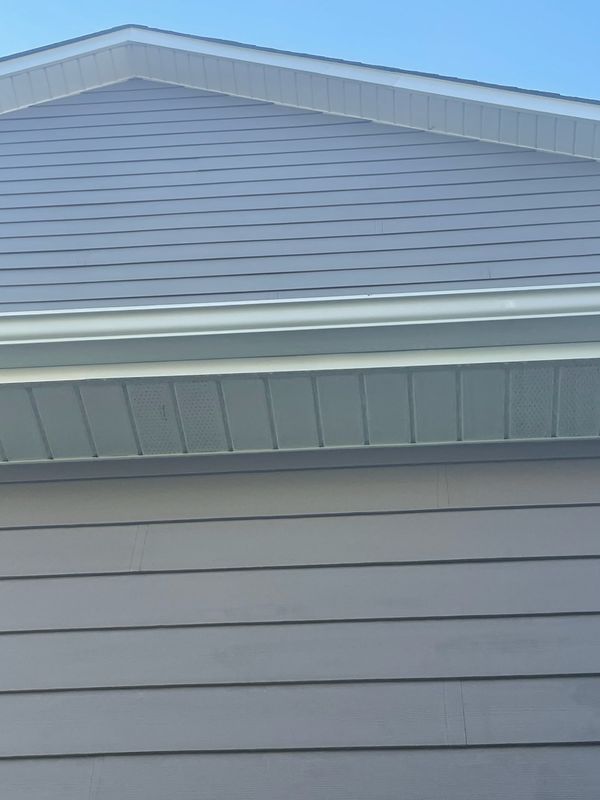 Gutter Cleaning