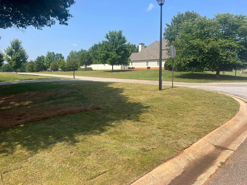 🌱 Sod Installation