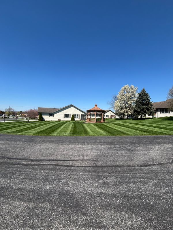 Lawn Mowing