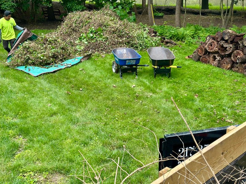 Mulch Installation