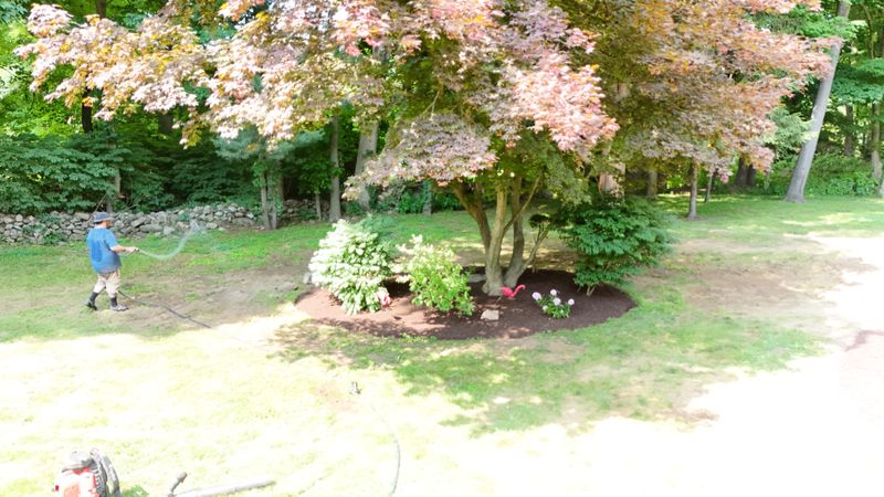 Plantings & Landscape Design