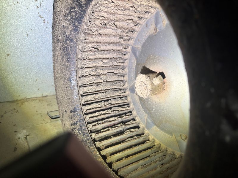 Spring & Fall Tune Ups