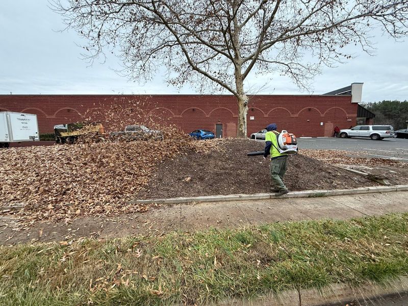 Leaf Removal
