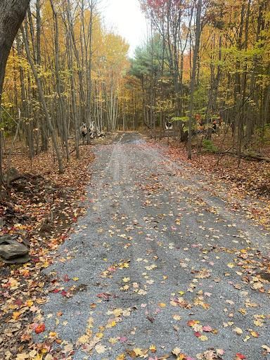 Roadbeds