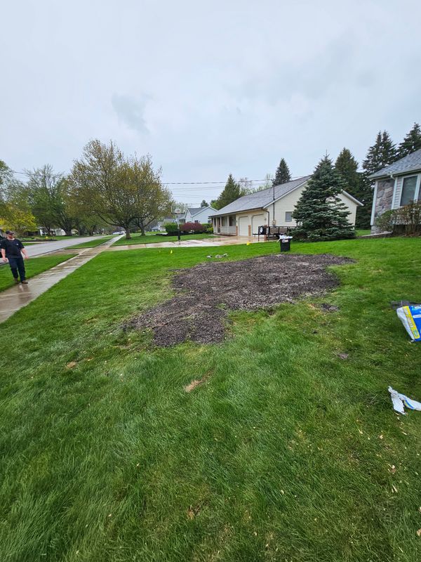 Stump Removal
