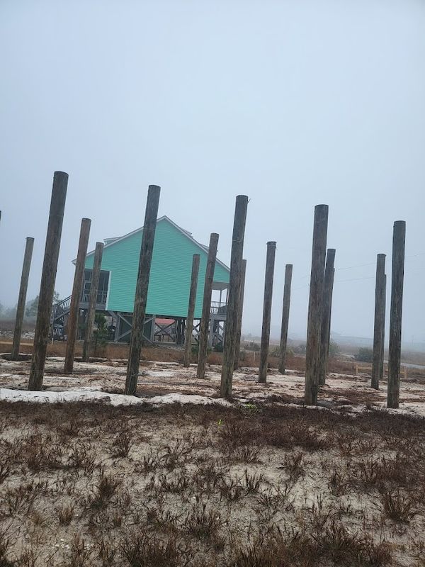House Piling