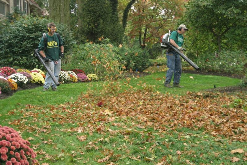 Lawn Maintenance