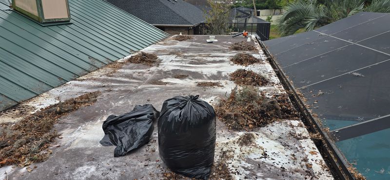 Gutter Cleaning