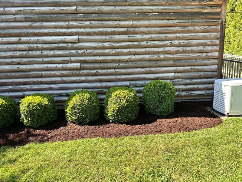 Landscaping