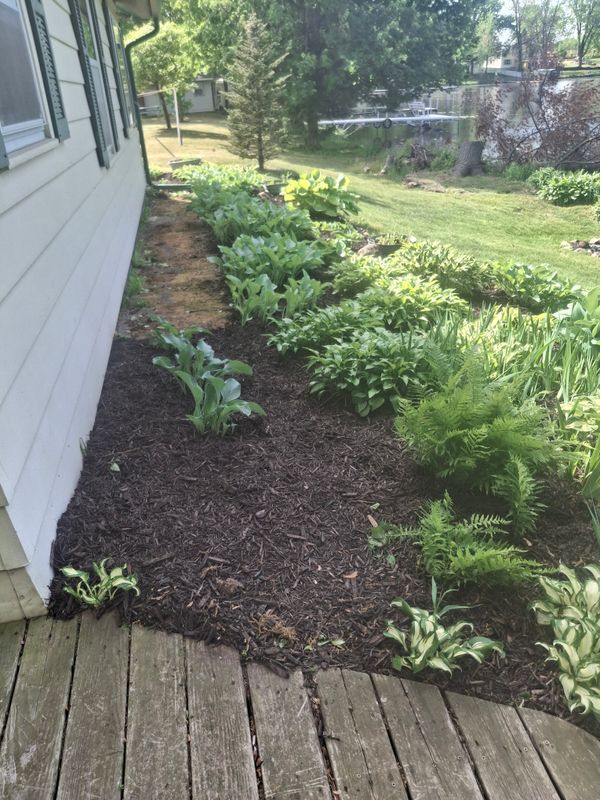 Landscape Design