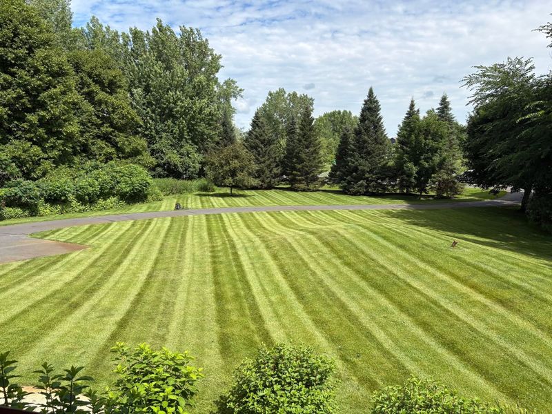 Lawn Maintenance