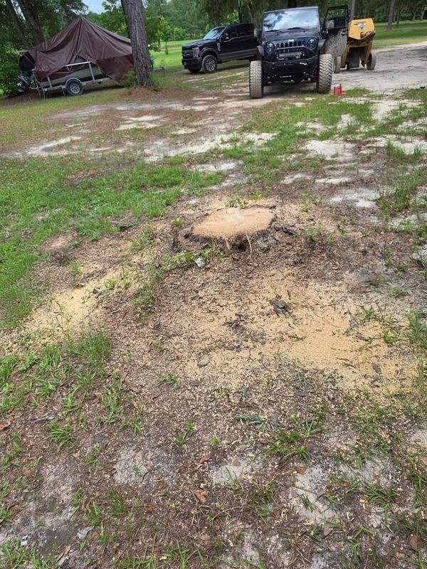 Stump Grinding and Removal