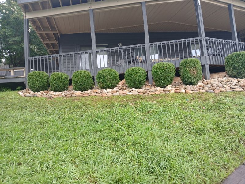 Shrub Trimming
