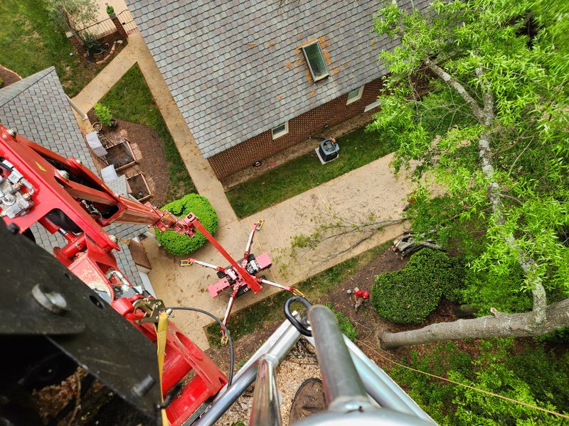 Emergency services and Storm Damage