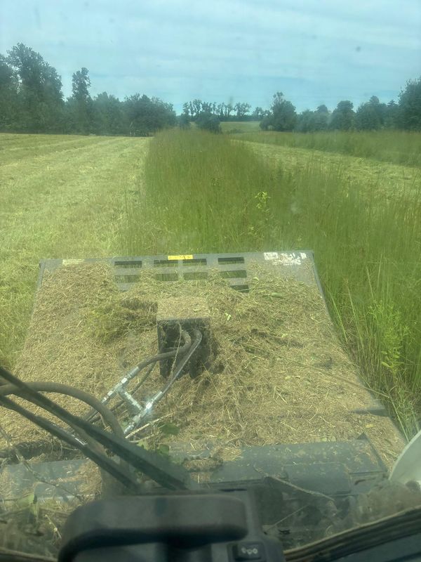 Spring Bushhogging