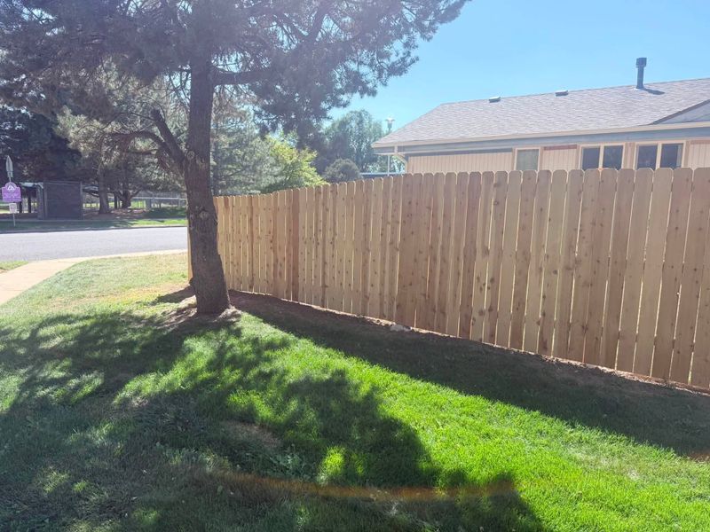 Fencing