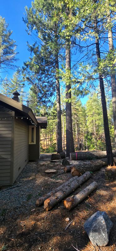 Hazardous Tree Services