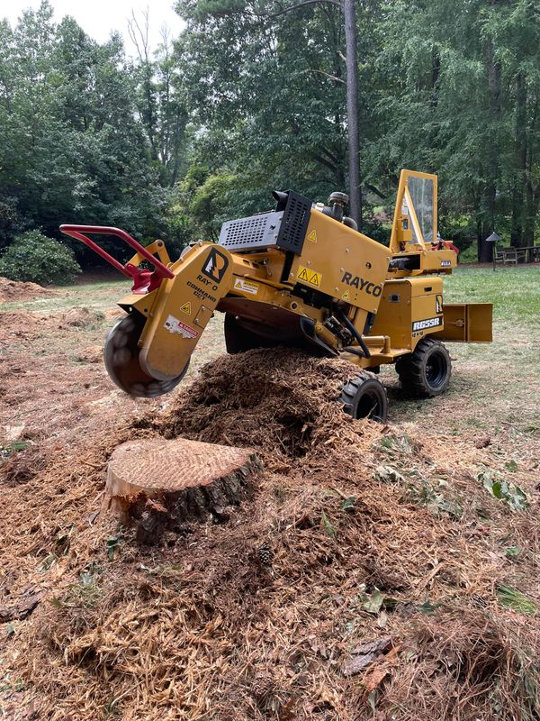 Stump Removal