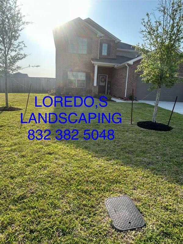 Mulch Installation