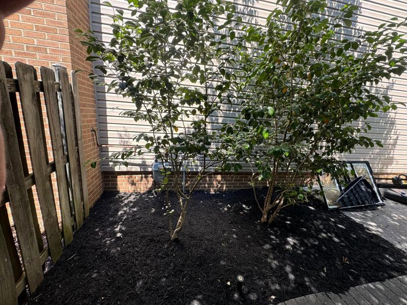 Landscaping