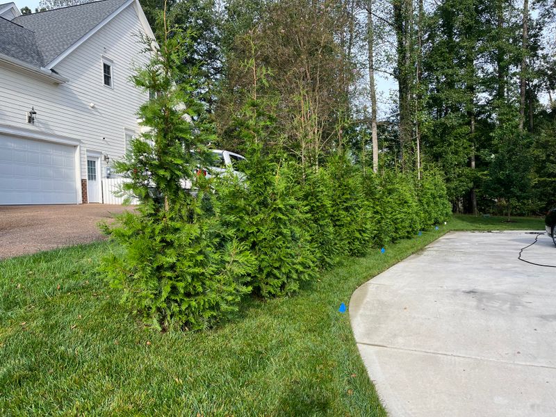 Landscaping