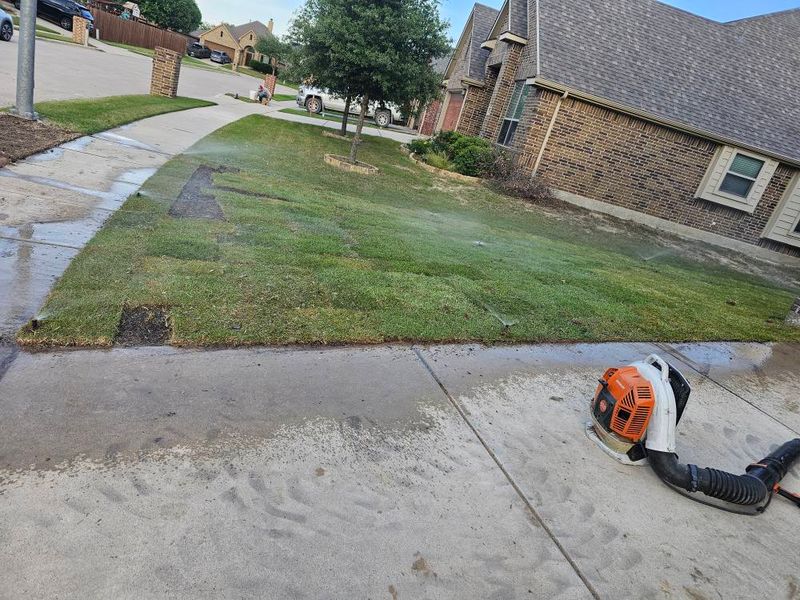 Lawn Maintenance