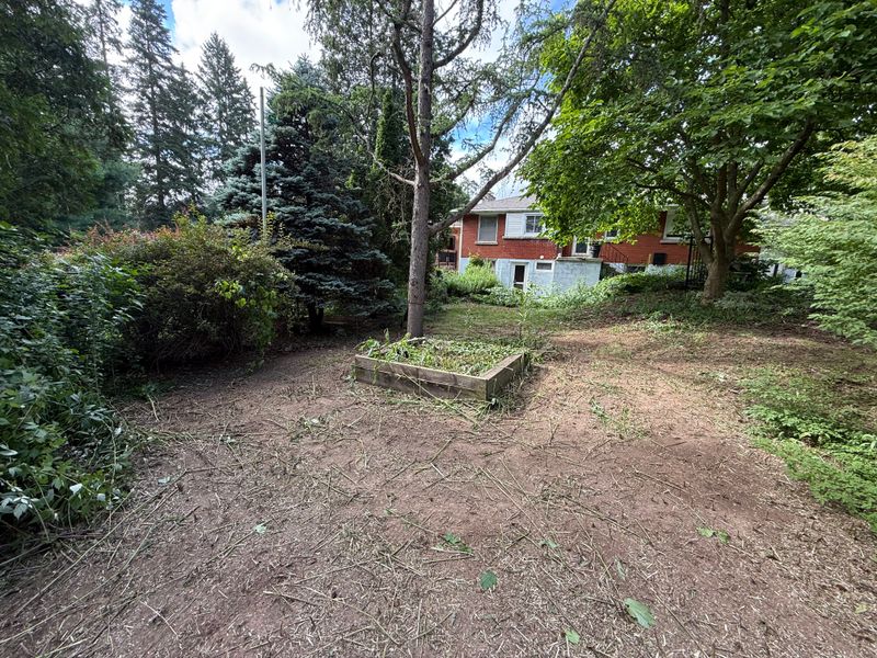 Brush Cutting