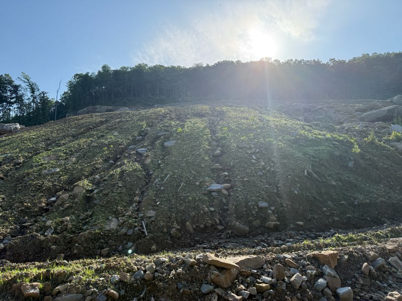 Hydroseeding 