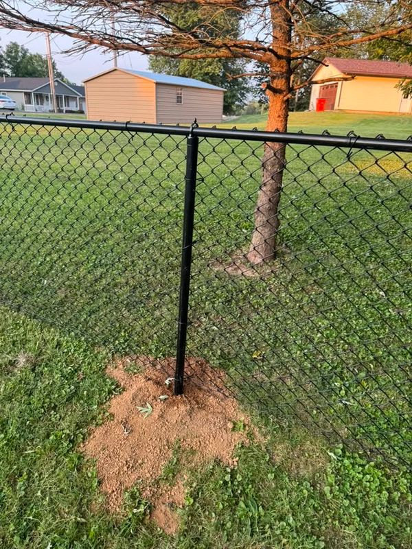 Lawn Maintenance