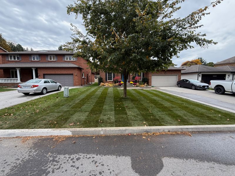Landscaping Gallery