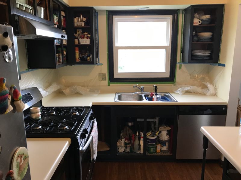 Kitchen Repainting