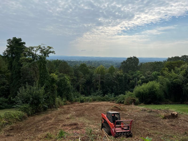 Forestry Mulching