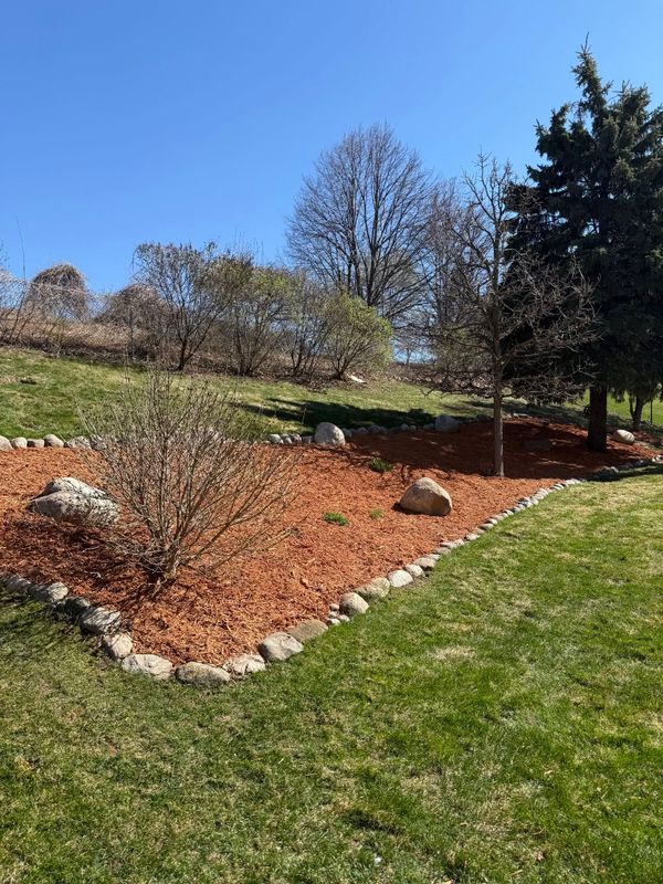 Shrub Installation