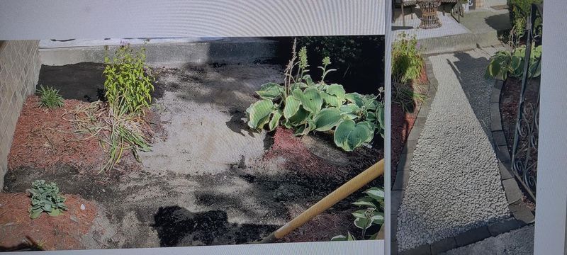 Exterior Renovations