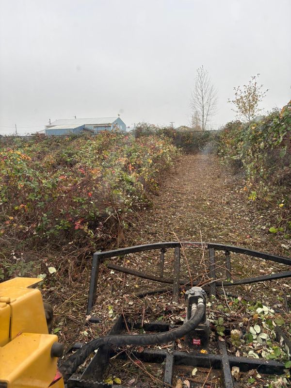 Land Clearing & Demolition