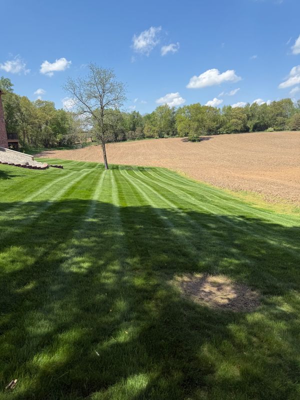 Lawn Care
