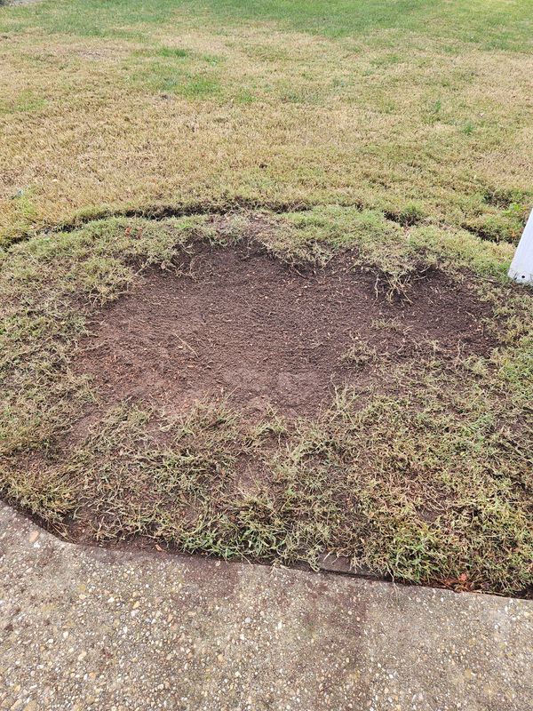 Wood Chips and Debris Removal