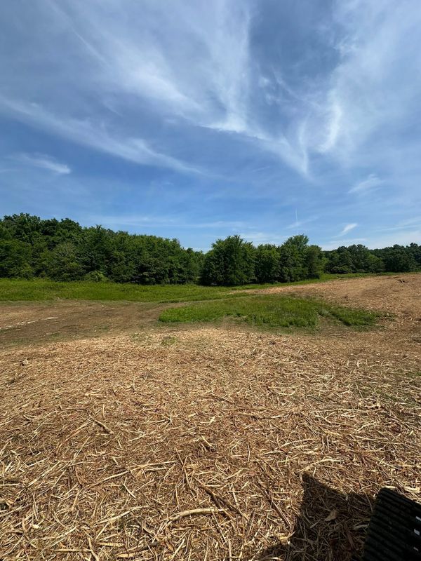 Largescale Landclearing