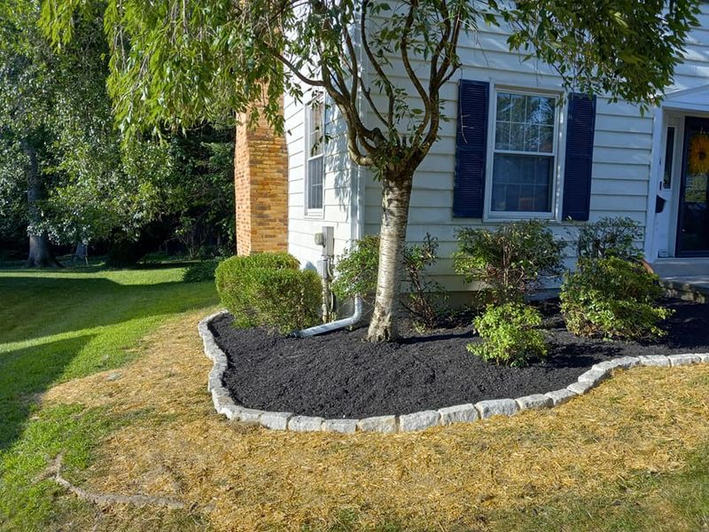 Lawn Care