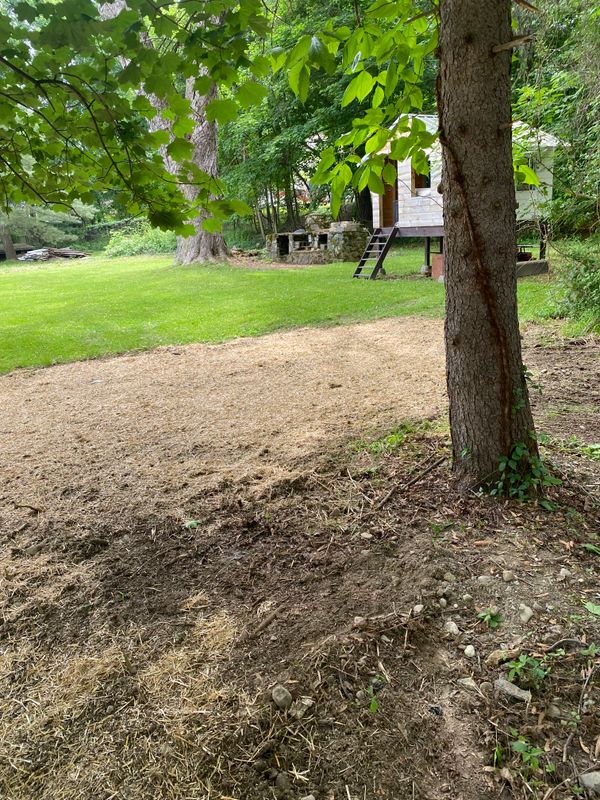 Landscape Design & Construction