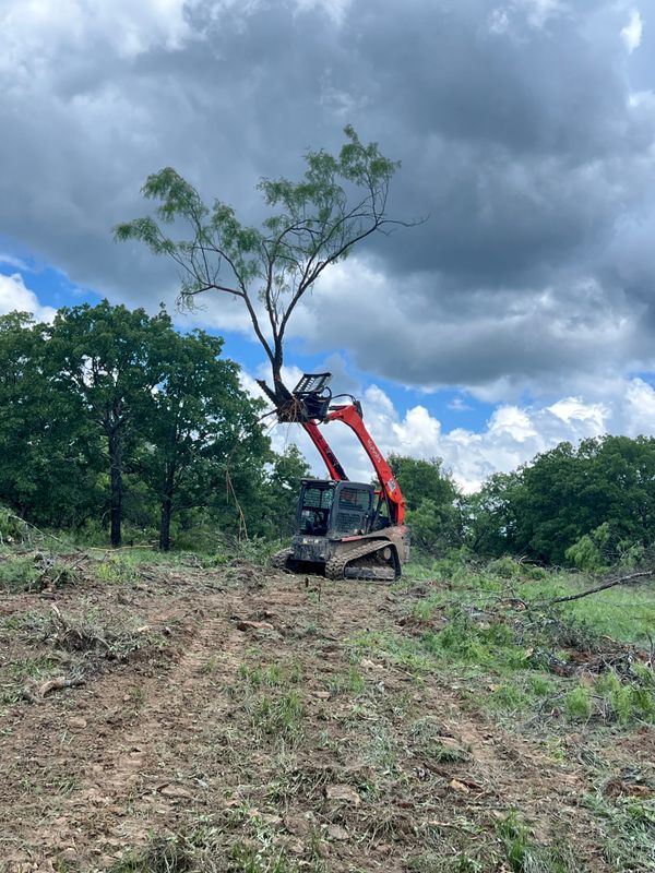 Land Clearing