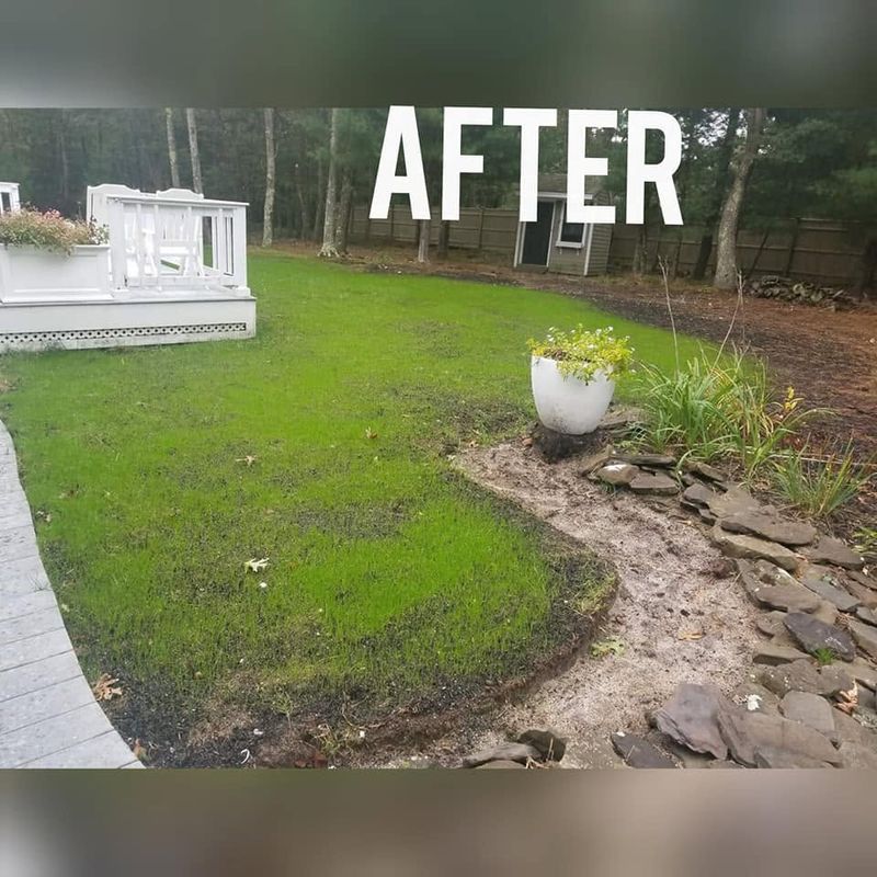 Landscape Design