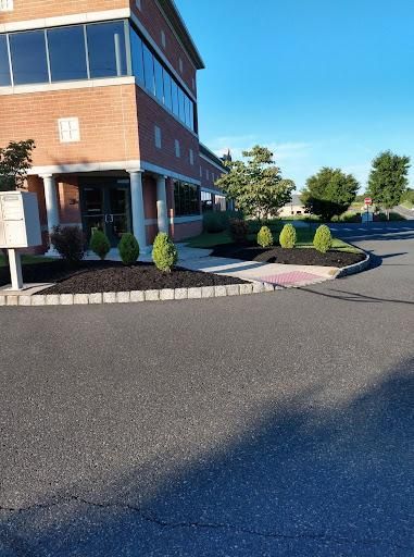 Privacy Plantings
