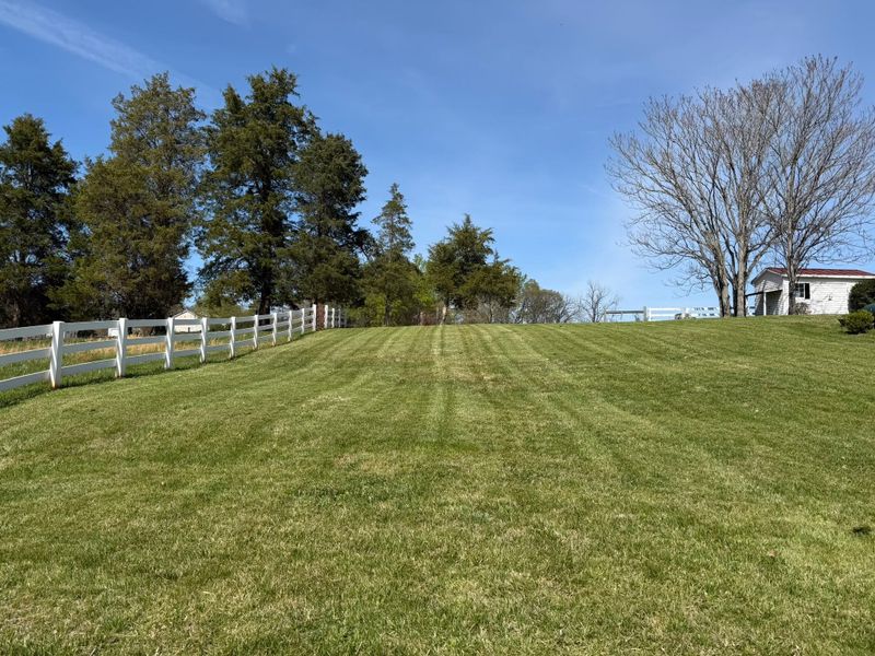 Lawn Maintenance