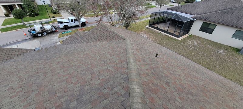 Roof Cleaning