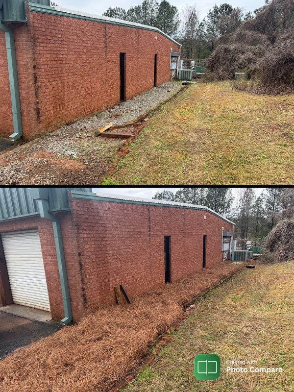 Before & Afters