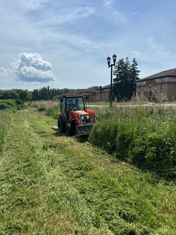 Brush hogging